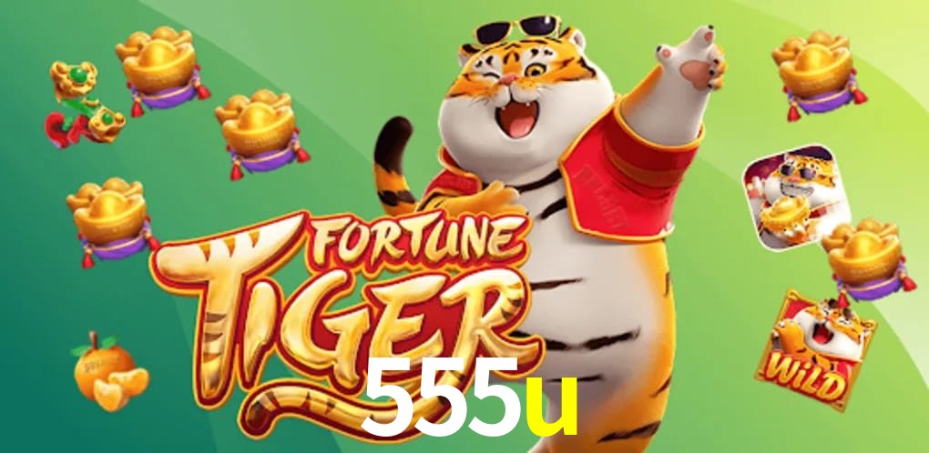 Bonus Features 555u